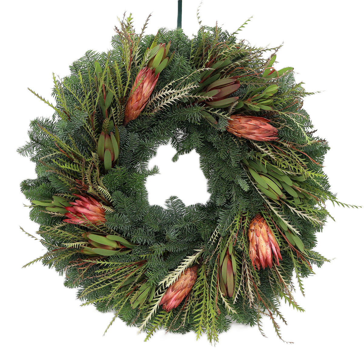 Teufel 18" Grevillea and Protea Wreath