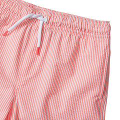 Boys Chlorine Resistant Seersucker Swim Trunks with Mesh Liner