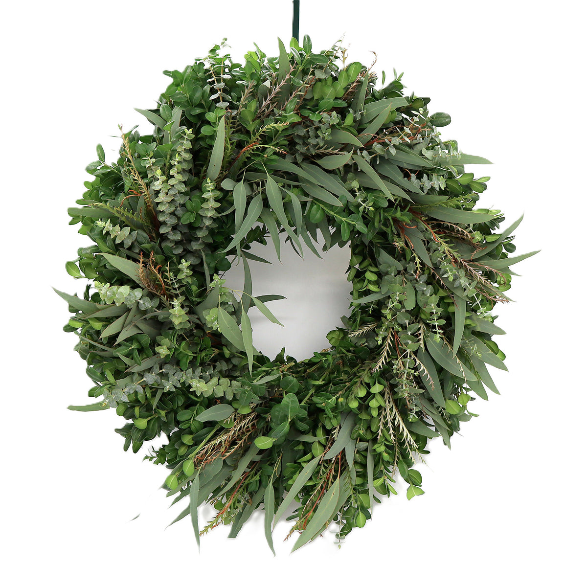 Teufel 18" Eucalyptus and Grevillea Wreath