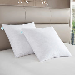 Martha Stewart European Square Feather Firm Pillow 2 Pack